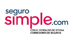 Seguros vehiculares Seguro Simple